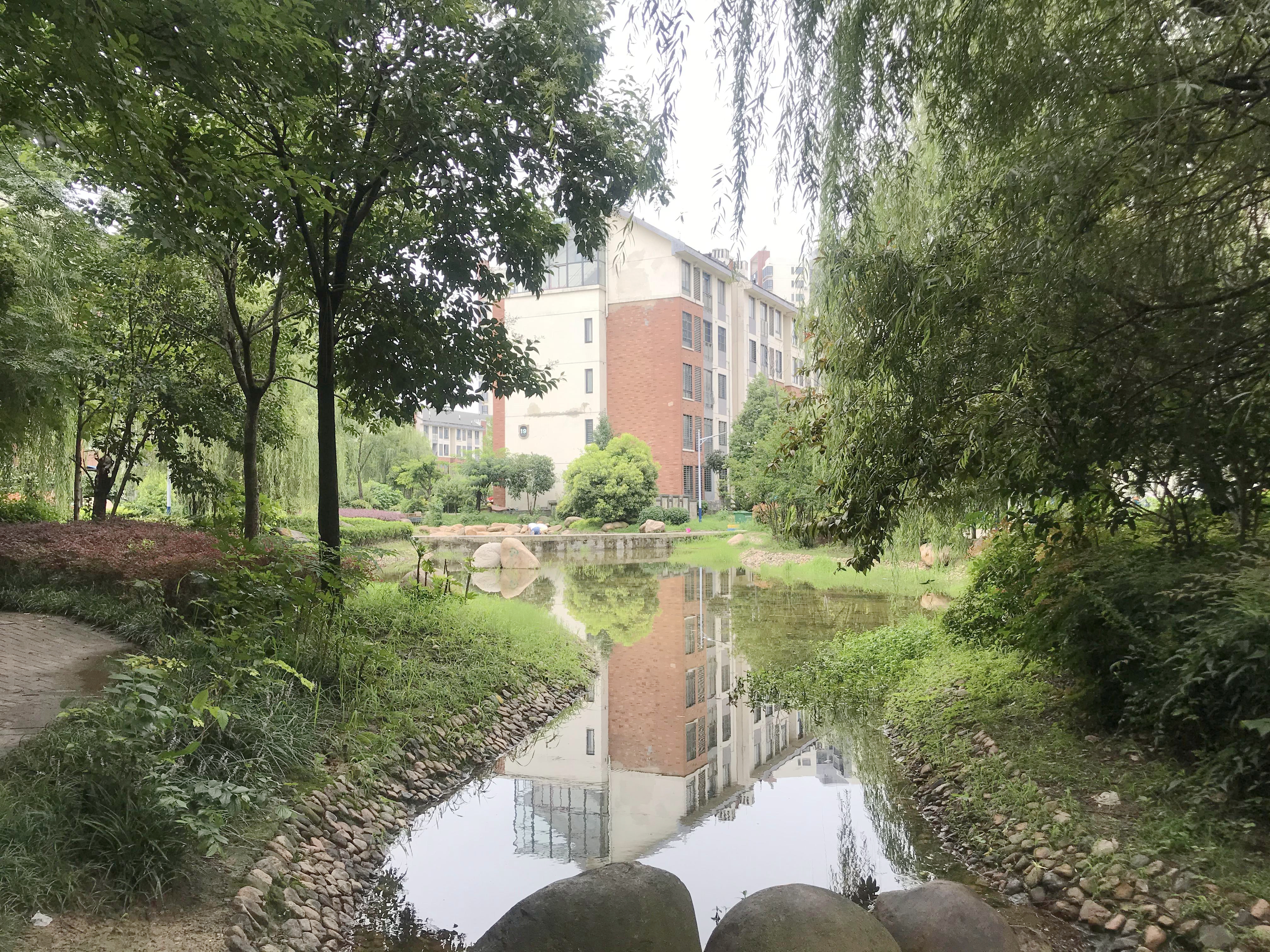 田家庵区国庆街道金地国际城B区_36