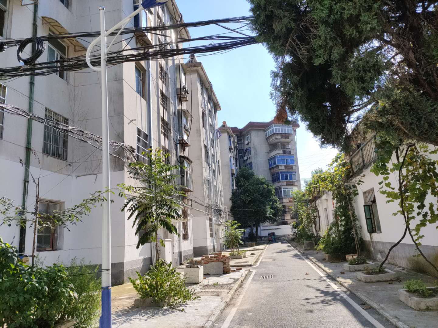 田家庵区田东街道淮纺新村_11