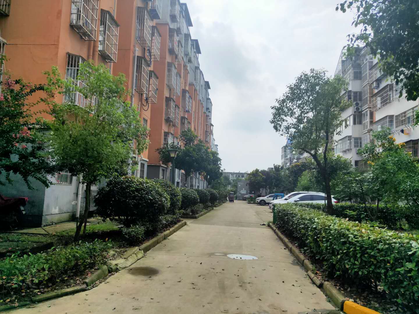田家庵区国庆街道康安家园_12