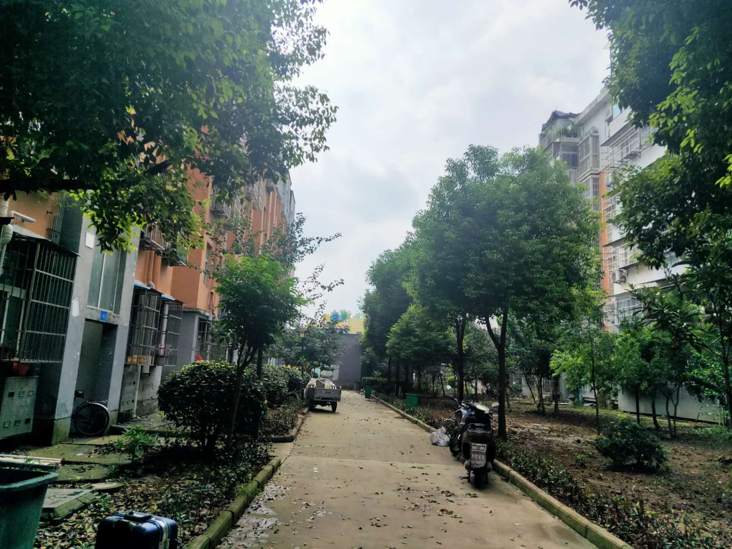 田家庵区国庆街道康安家园_13