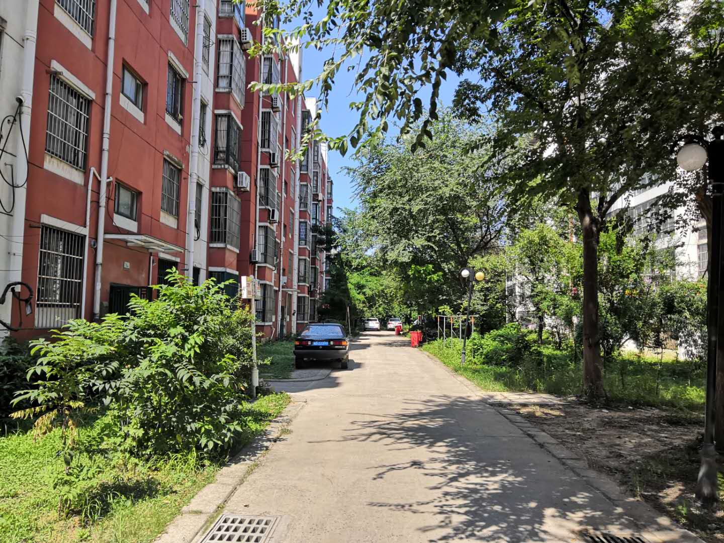 大通区大通街道居仁村二区_6
