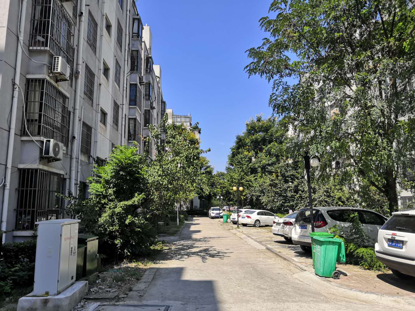 大通区大通街道居仁村二区_14