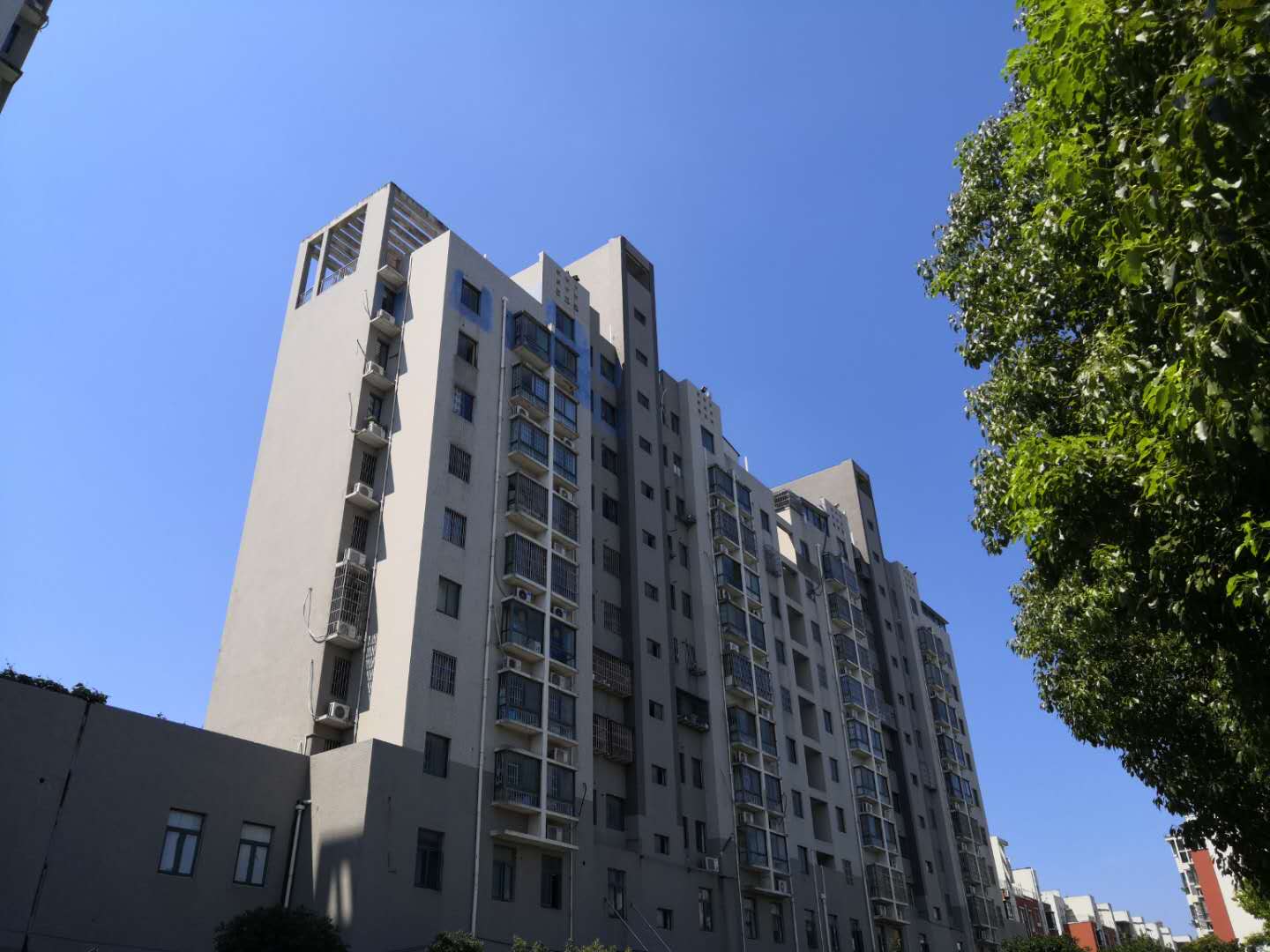 大通区大通街道居仁村二区_11