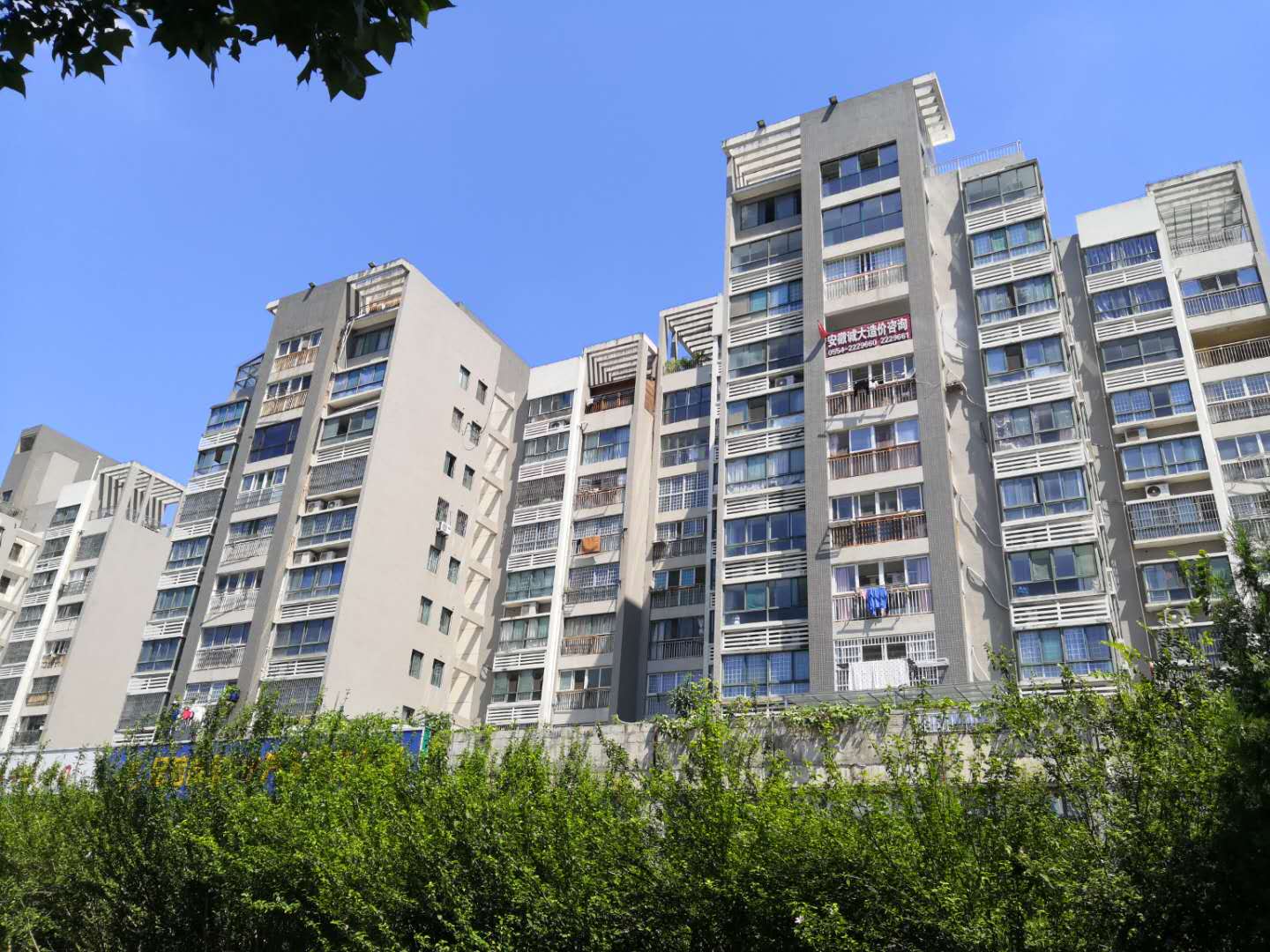 大通区大通街道居仁村二区_19