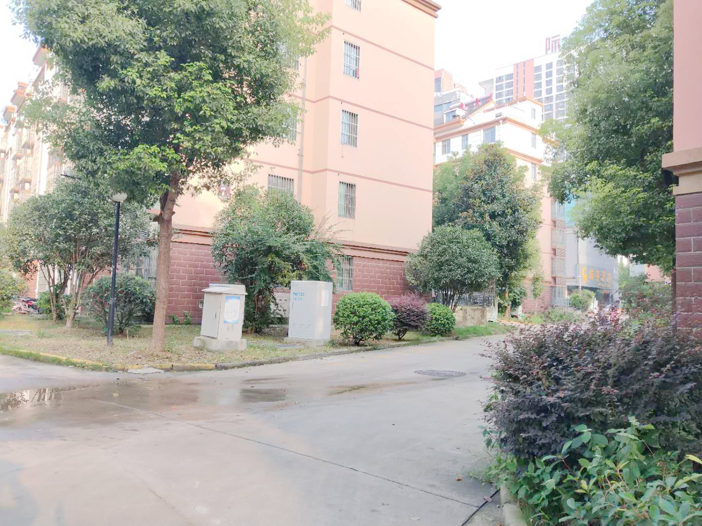 田家庵区国庆街道幸福时光朝阳雅园B区_10