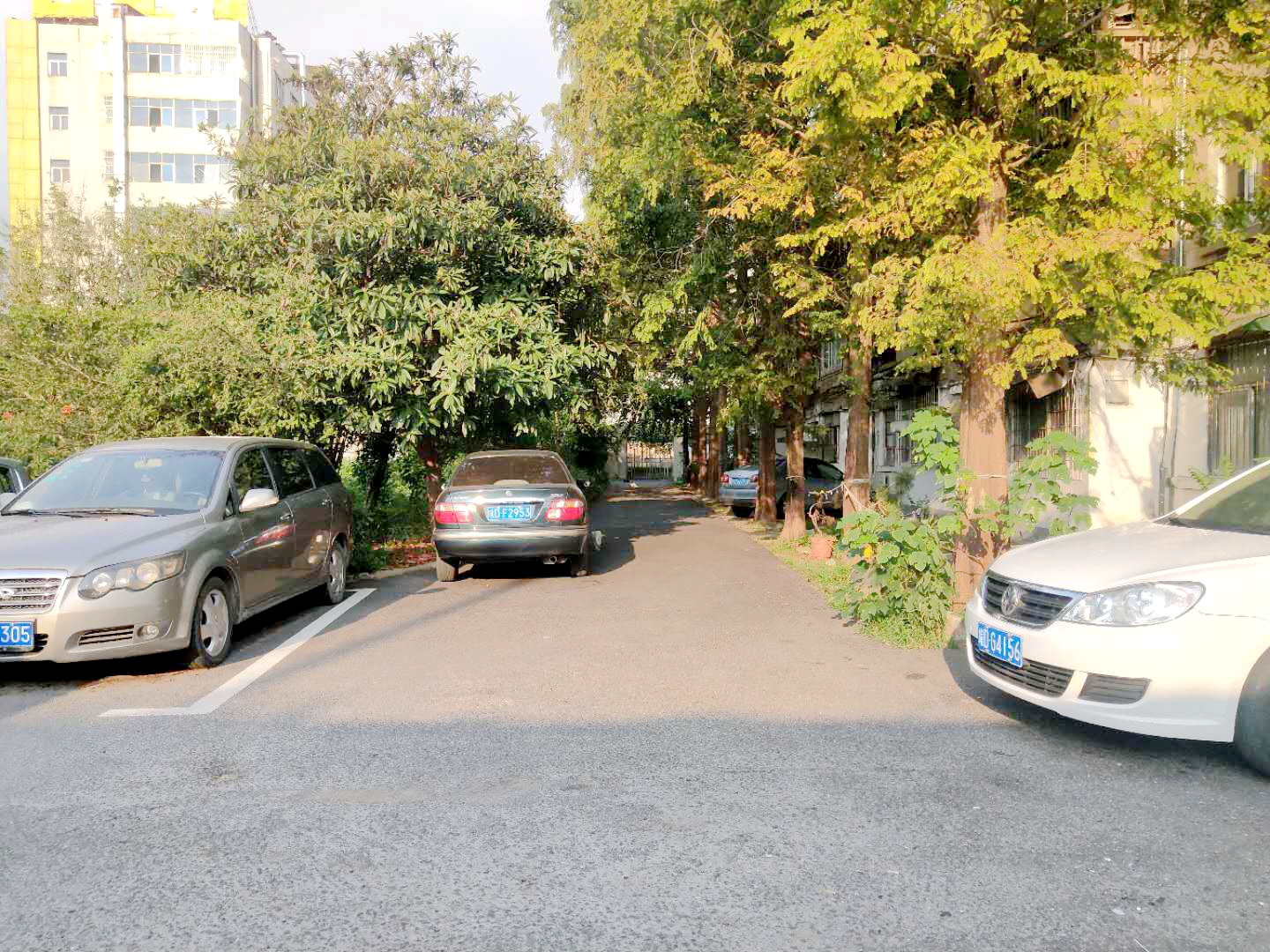 田家庵区朝阳街道交通局大院_16