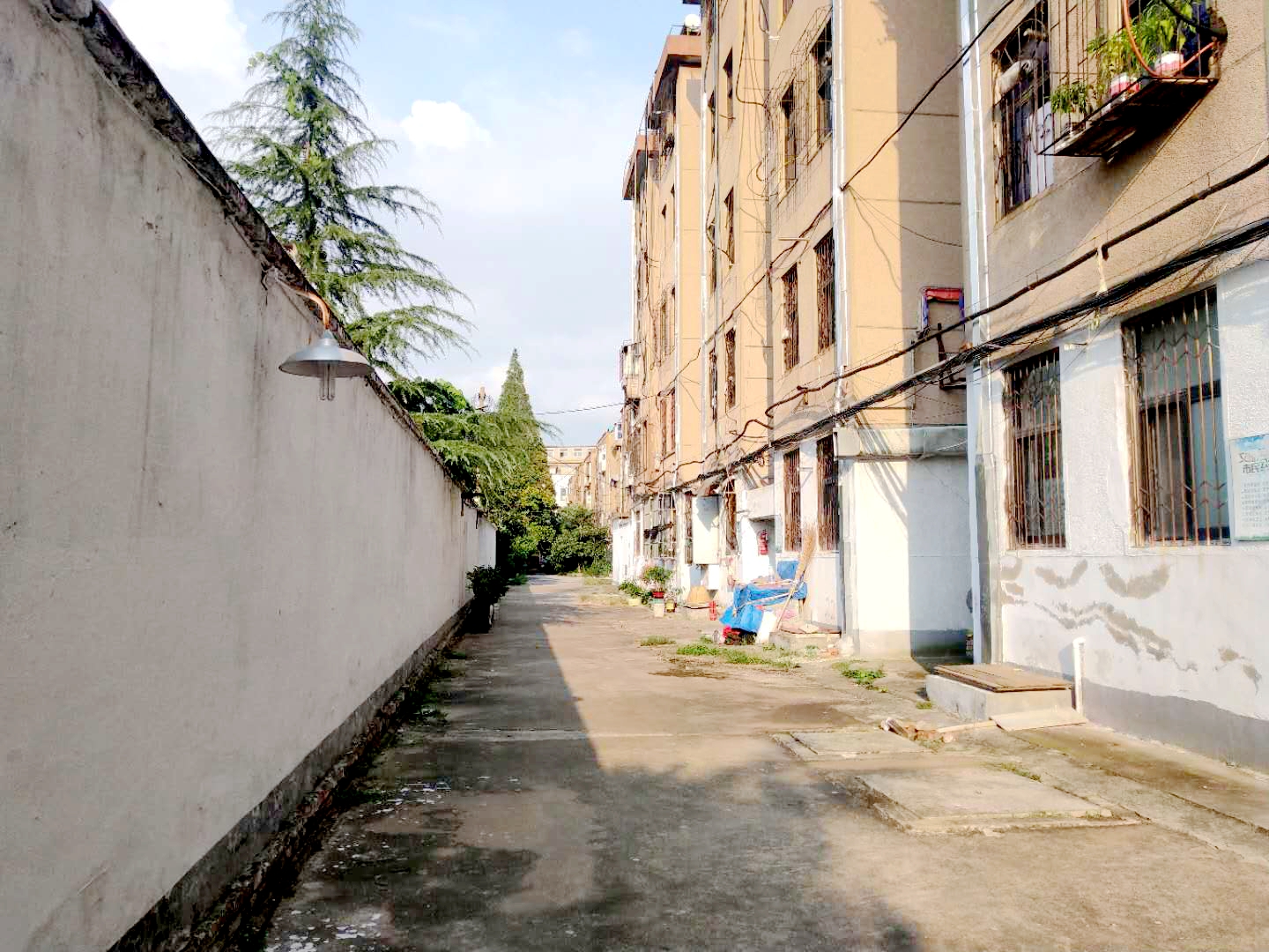 田家庵区朝阳街道交通局大院_10