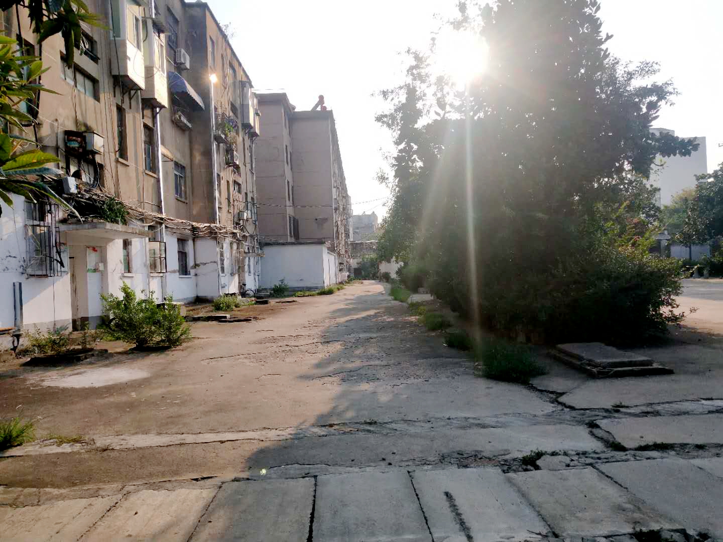 田家庵区朝阳街道交通局大院_11