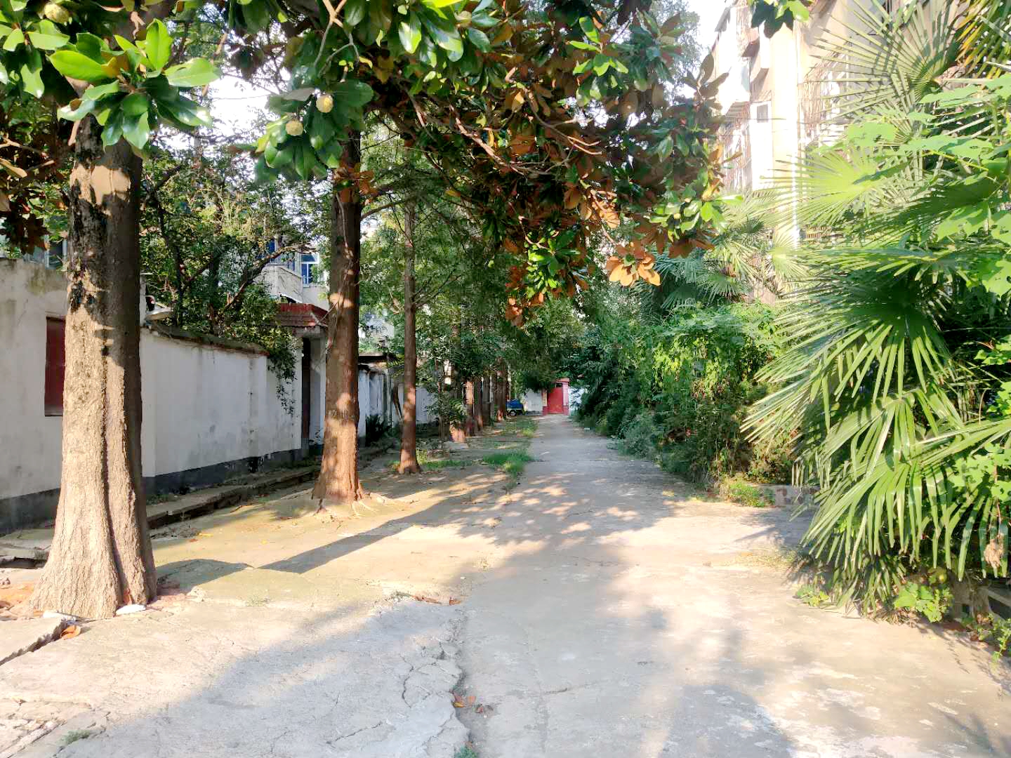 田家庵区朝阳街道交通局大院_14