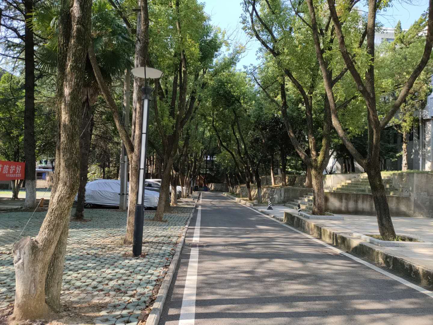 田家庵区龙泉街道市委党校家属楼_15