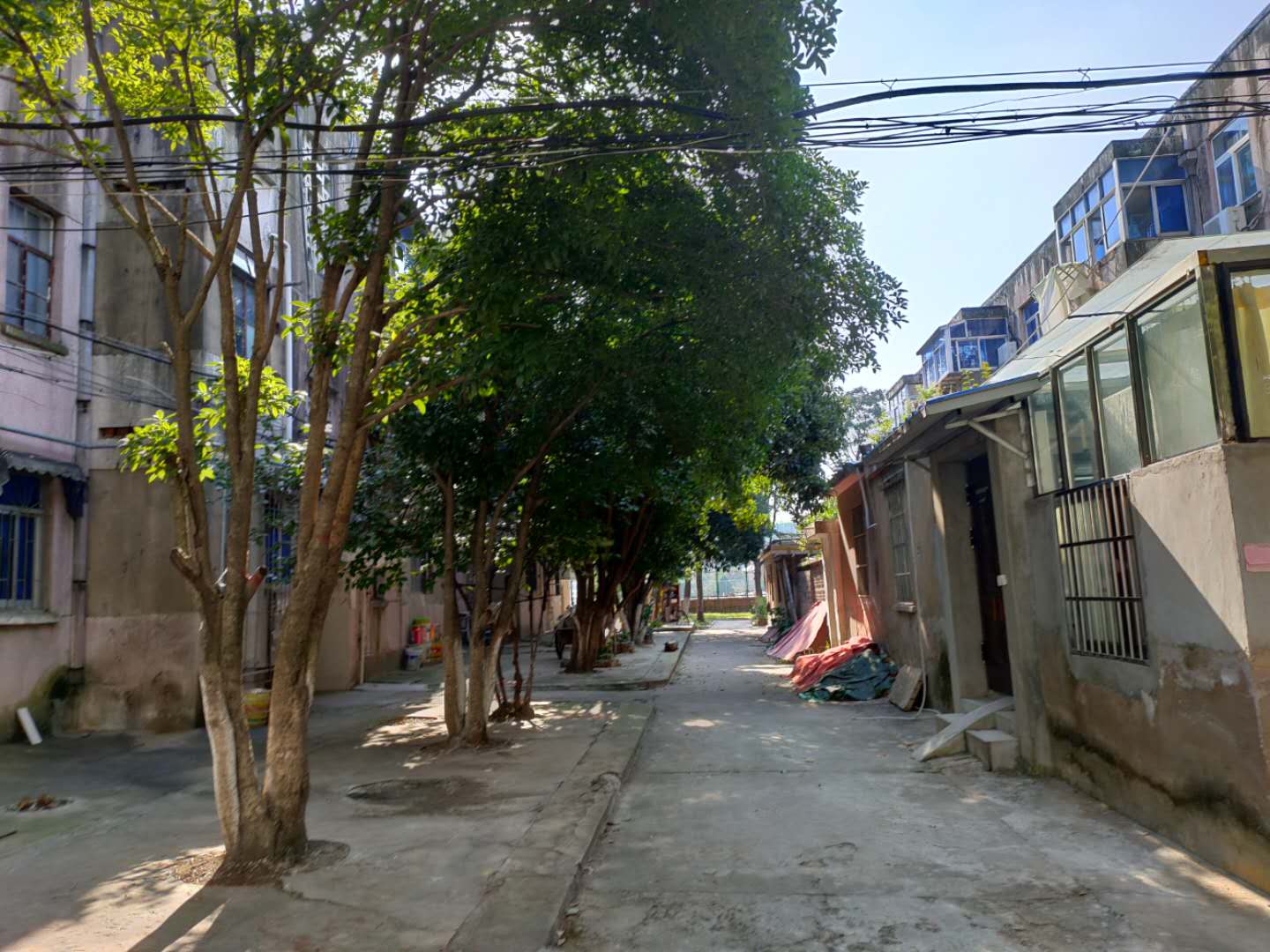 田家庵区龙泉街道市委党校家属楼_13