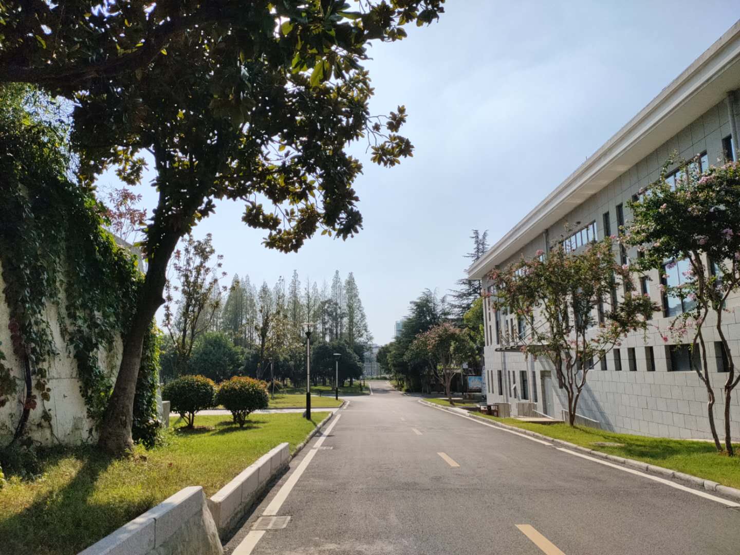 田家庵区龙泉街道市委党校家属楼_8