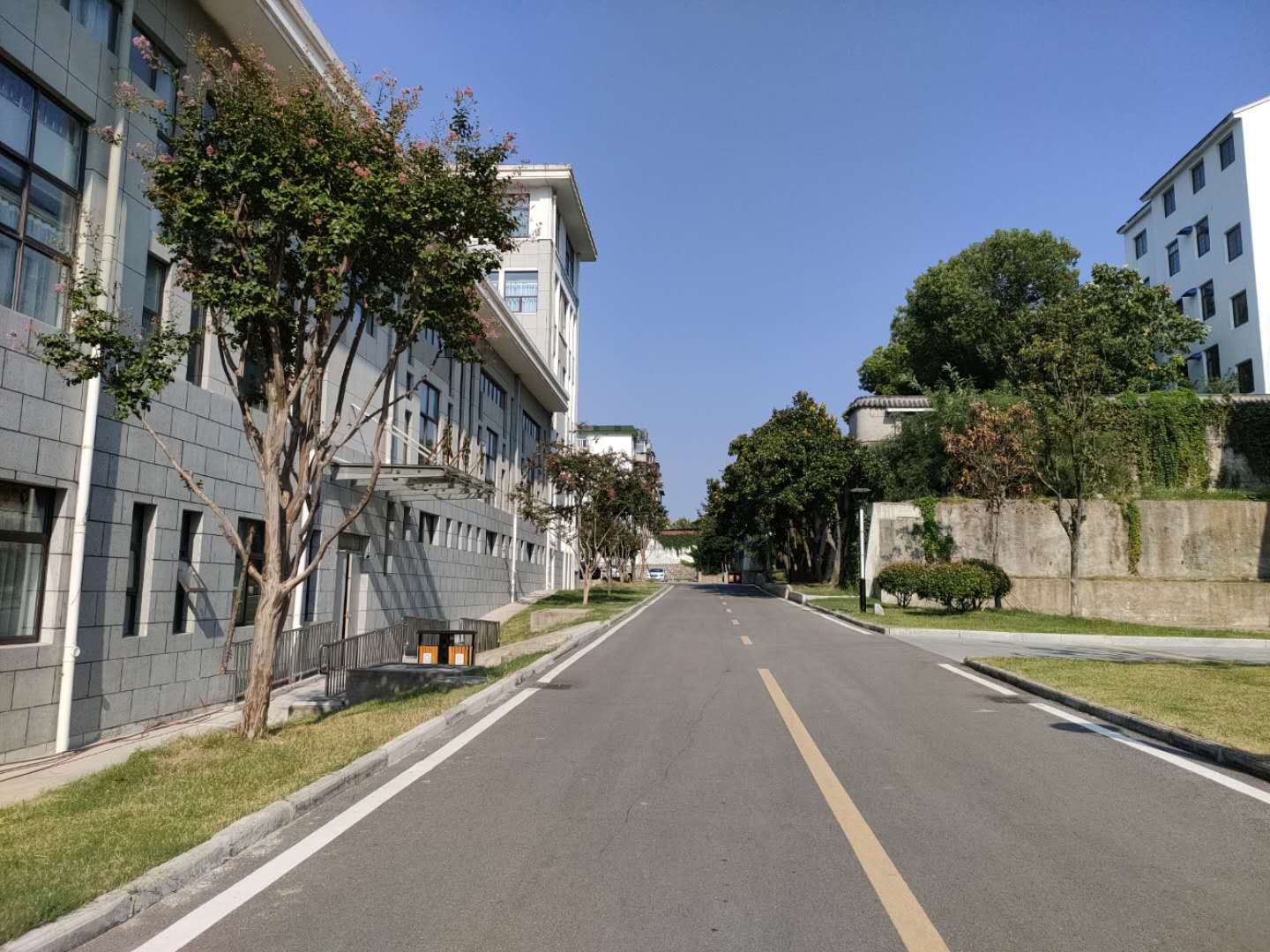 田家庵区龙泉街道市委党校家属楼_12