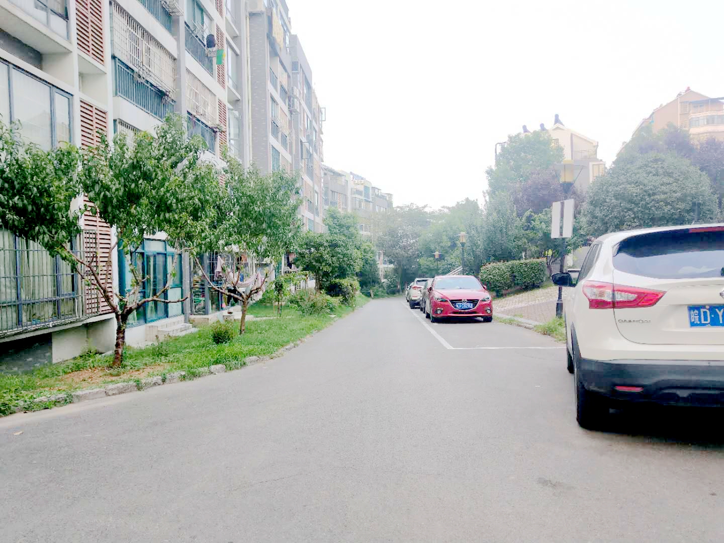 田家庵区洞山街道龙眼新村_8