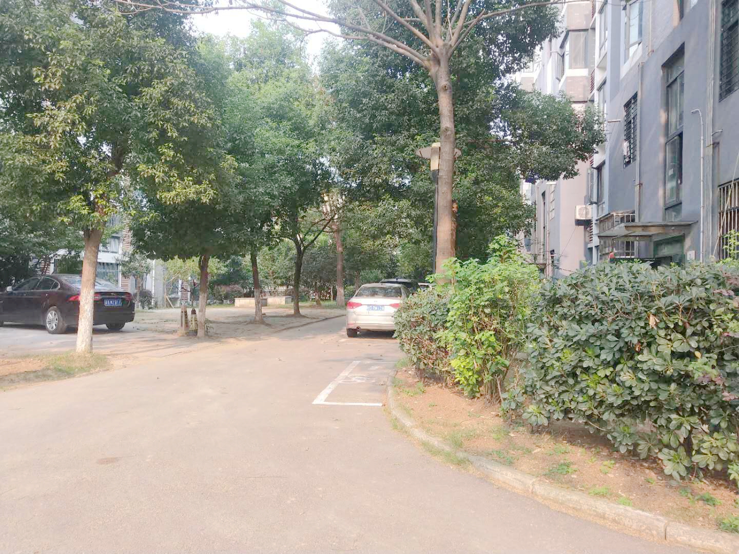 田家庵区洞山街道龙眼新村_18