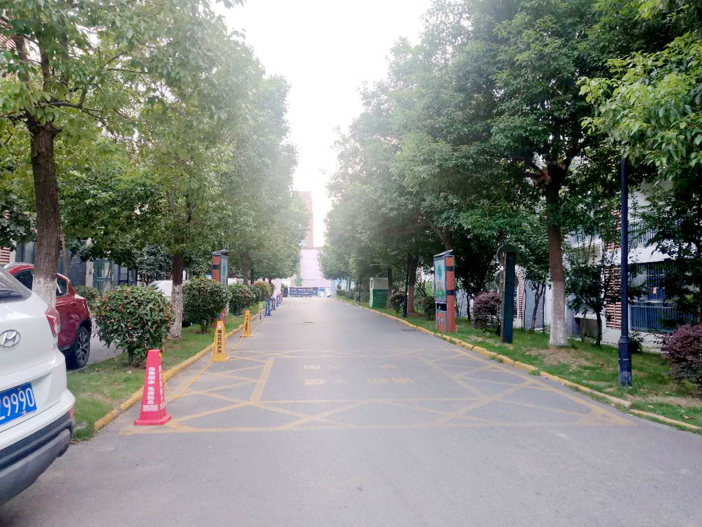 田家庵区洞山街道龙眼新村_12