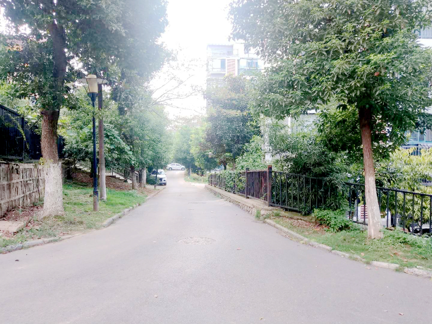 田家庵区洞山街道龙眼新村_13