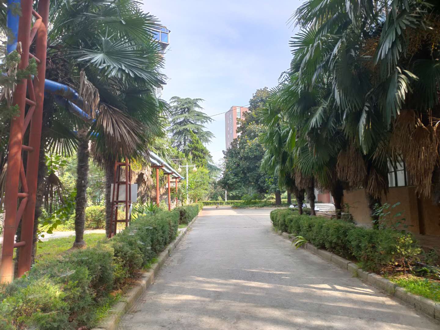 田家庵区朝阳街道电子八所家属楼_8