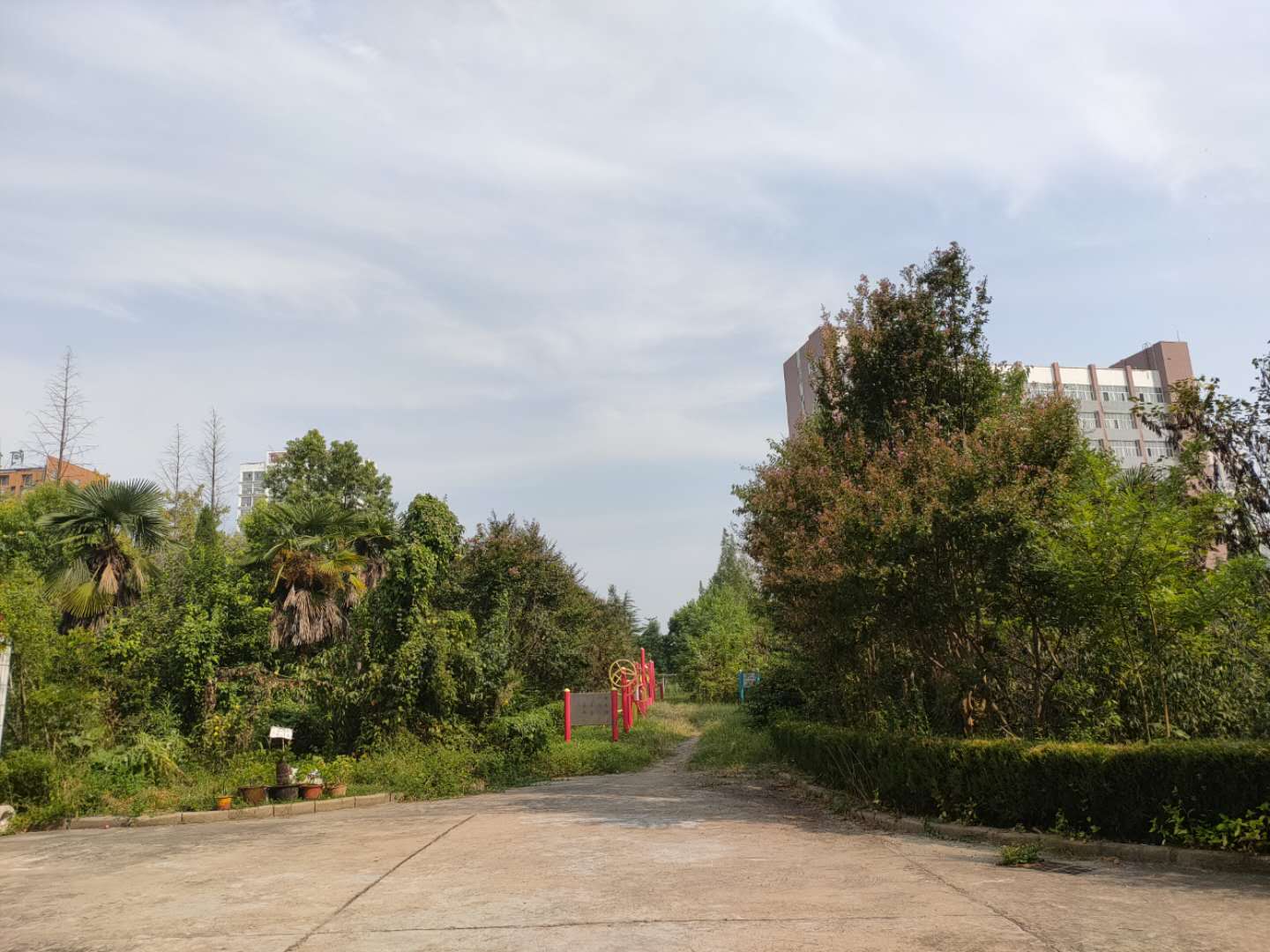 田家庵区朝阳街道电子八所家属楼_9