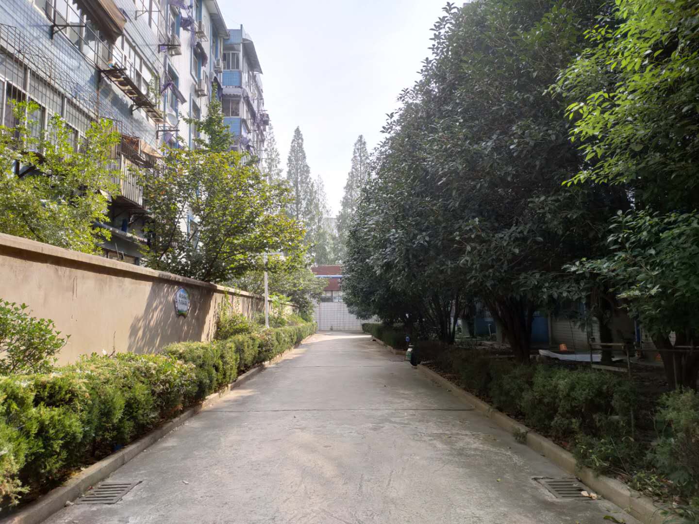 田家庵区朝阳街道电子八所家属楼_10