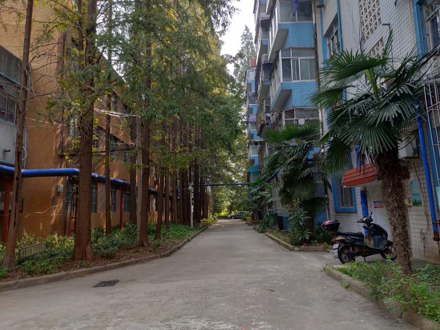 田家庵区朝阳街道电子八所家属楼_13