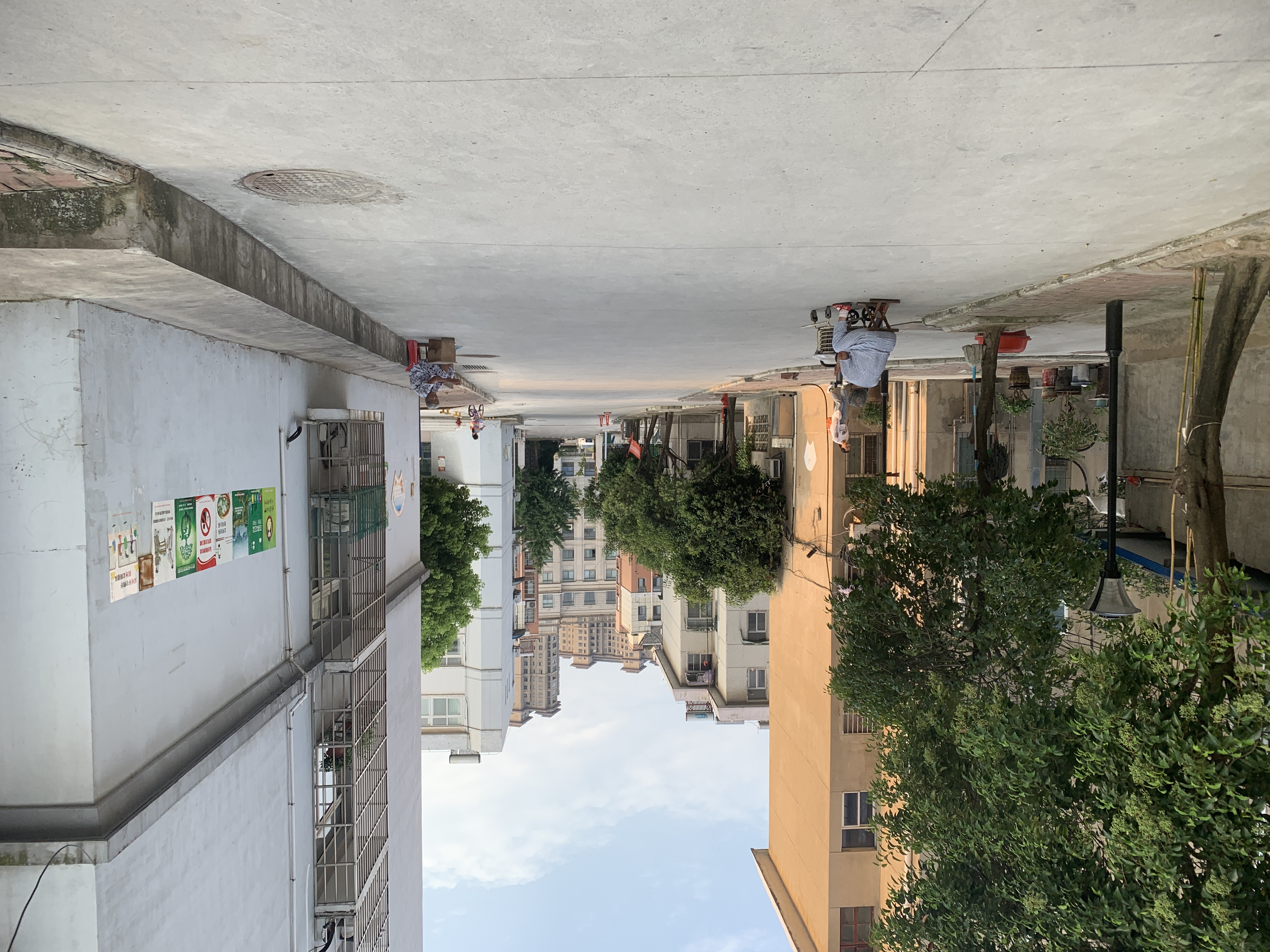 大通区大通街道铁四局大院_7