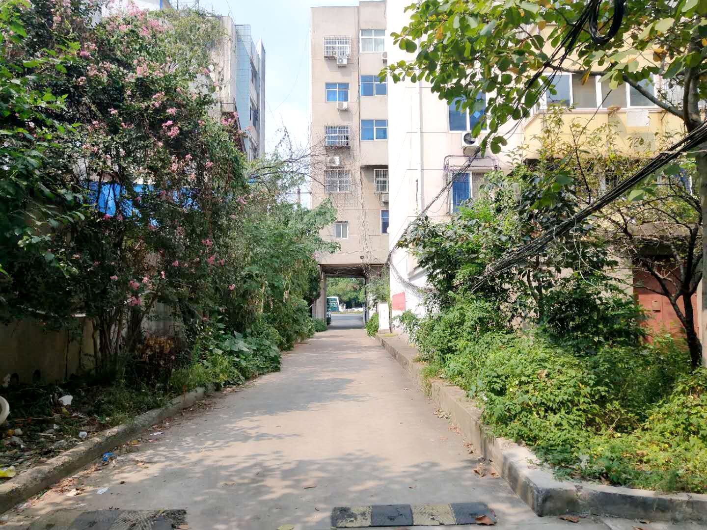 田家庵区朝阳街道通达公寓_11