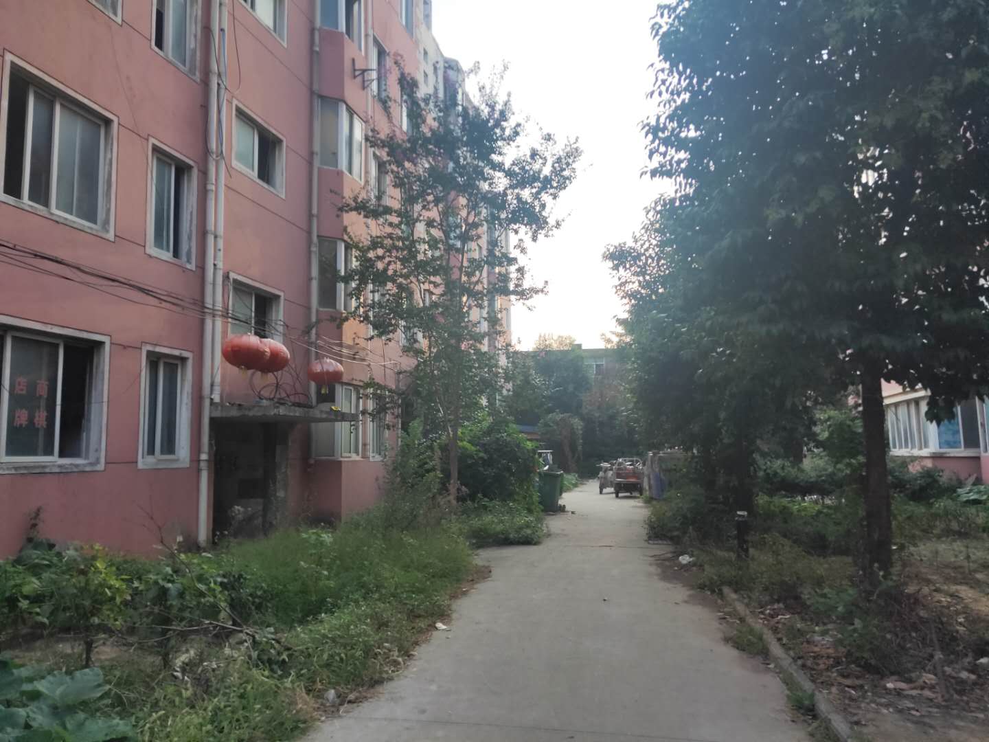 田家庵区泉山街道金屯花园小区_10