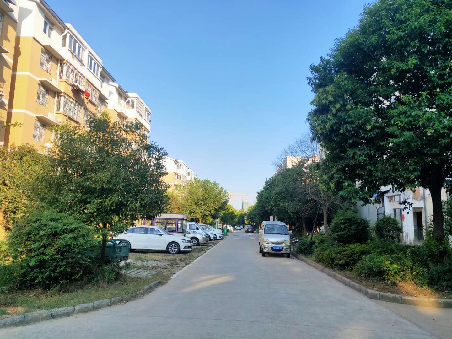 山南新区三和镇香樟苑一期_5