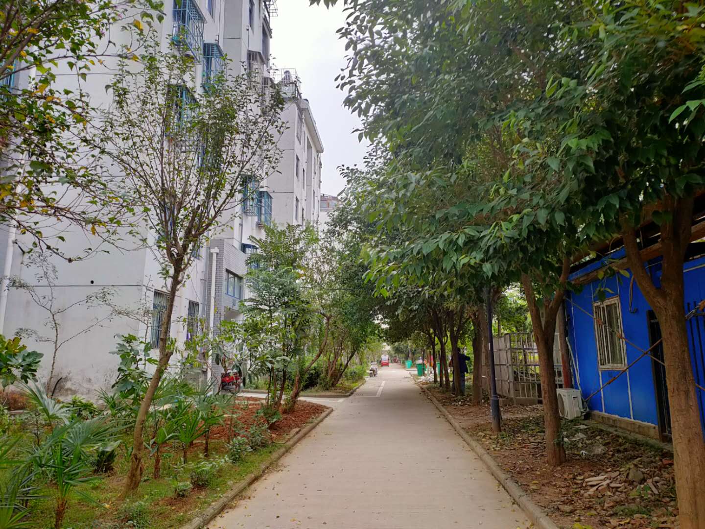 大通区九龙岗镇九龙岗建设村A区_3