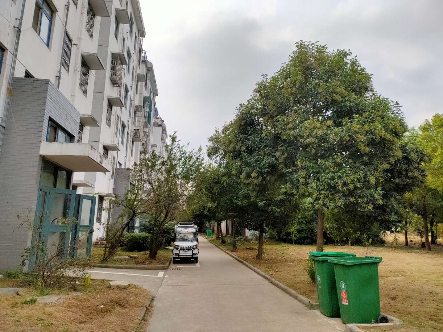 大通区九龙岗镇九龙岗建设村A区_9