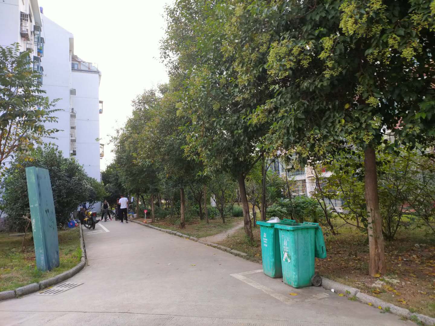 大通区九龙岗镇九龙岗建设村B区_13