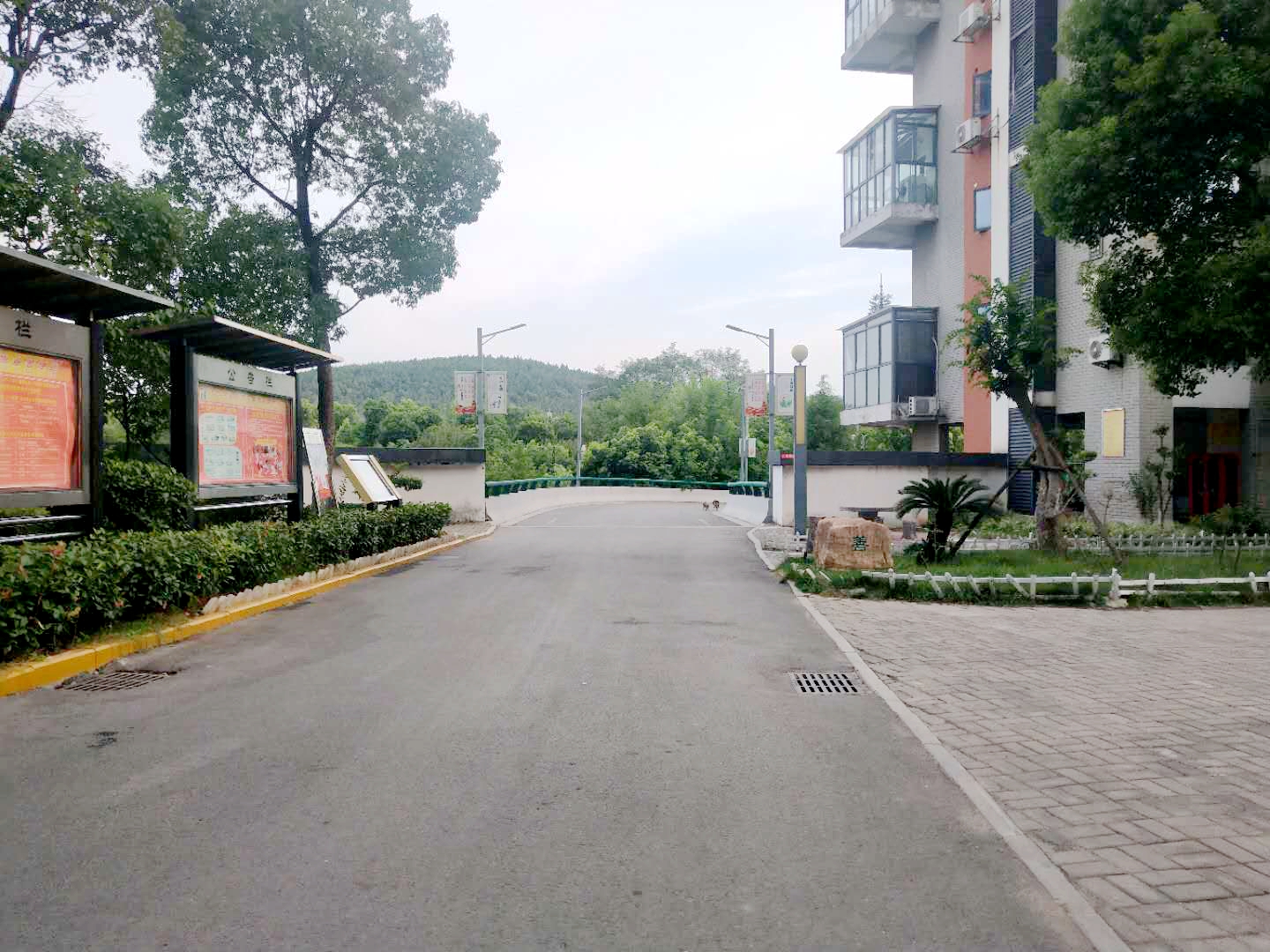 田家庵区龙泉街道水云庭_15