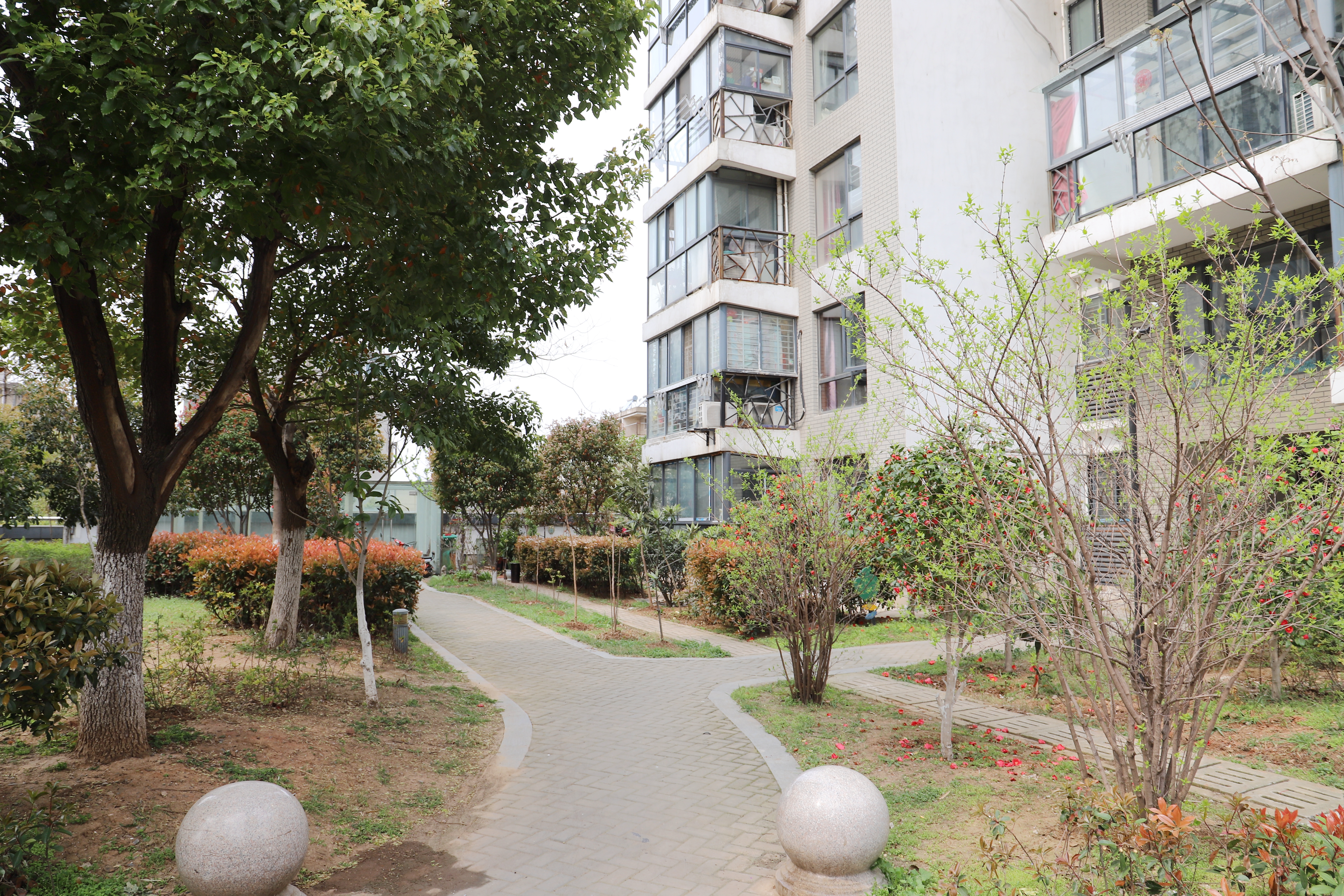 田家庵区龙泉街道水云庭_23