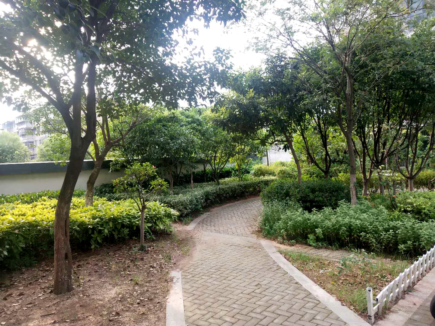 田家庵区龙泉街道水云庭_19