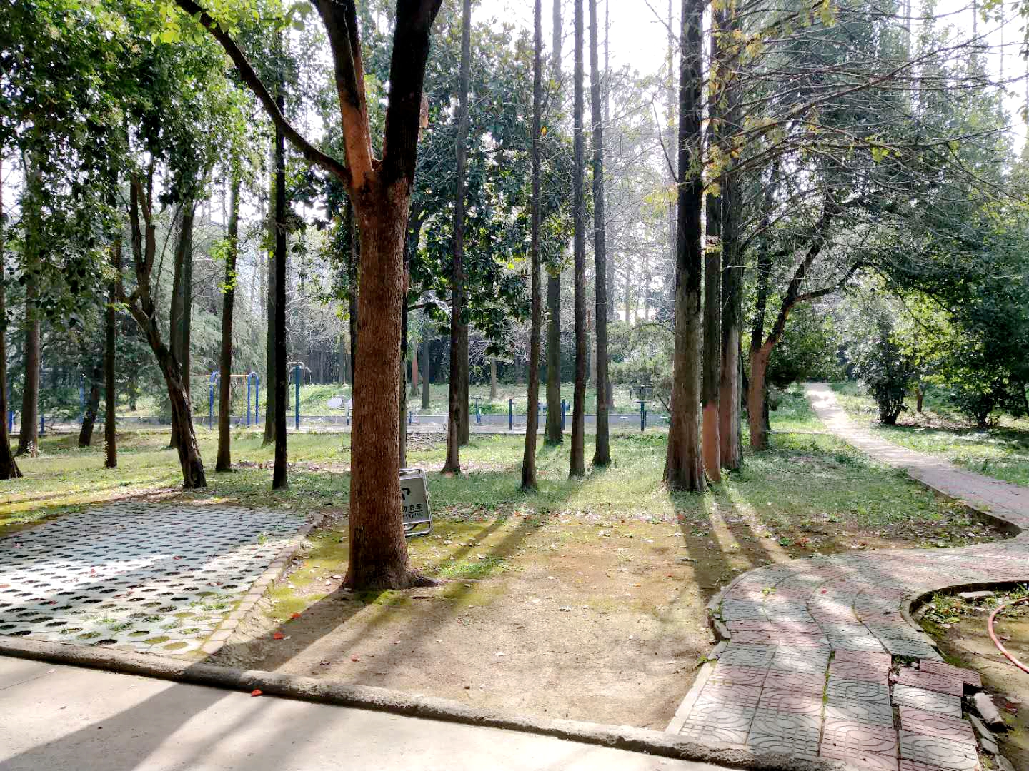 田家庵区洞山街道军分区院内_24