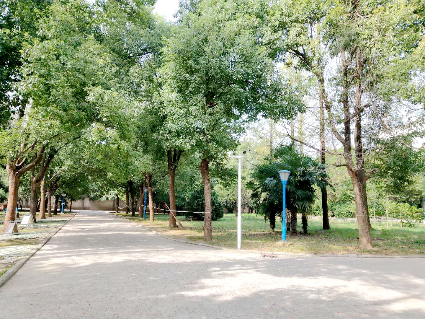 田家庵区洞山街道军分区院内_26