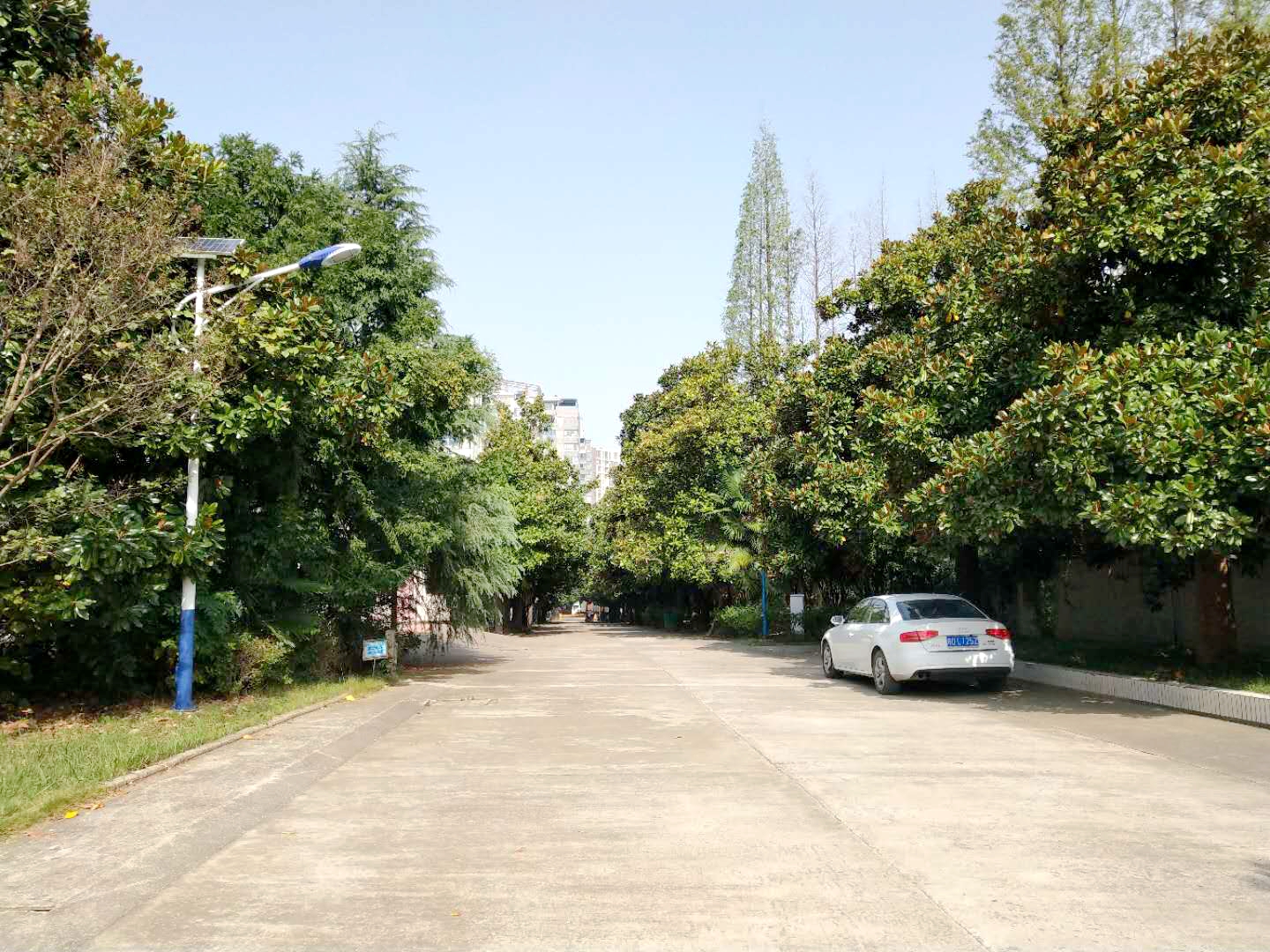 田家庵区洞山街道军分区院内_23