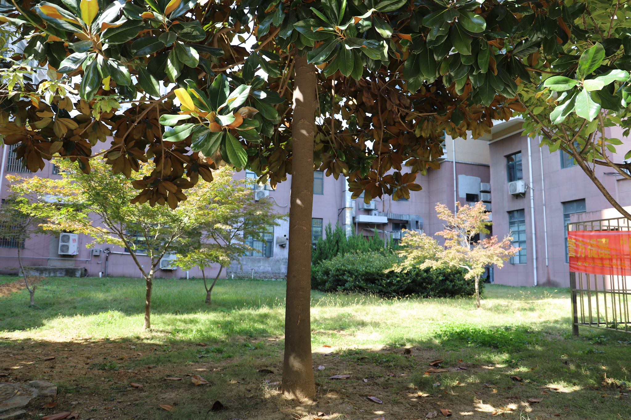 田家庵区舜耕镇广场景苑_18