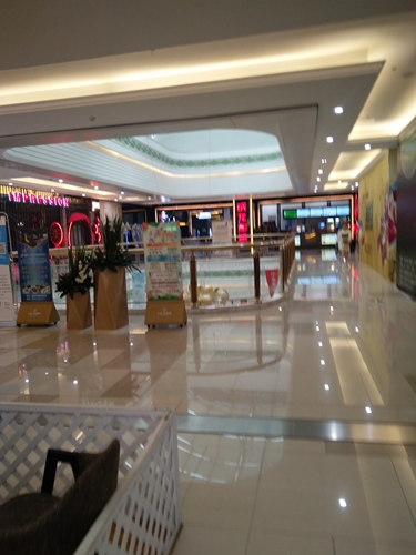 金地环球港商铺急售_5
