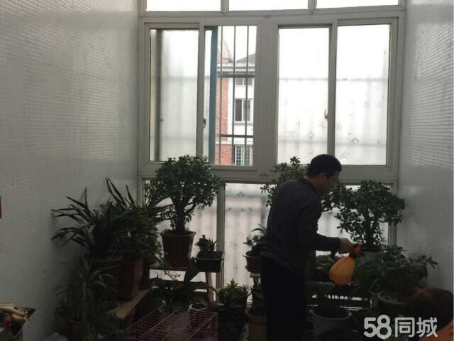 锦绣康城 113平 南向精装两居 满两年 采光好 交通便利_7
