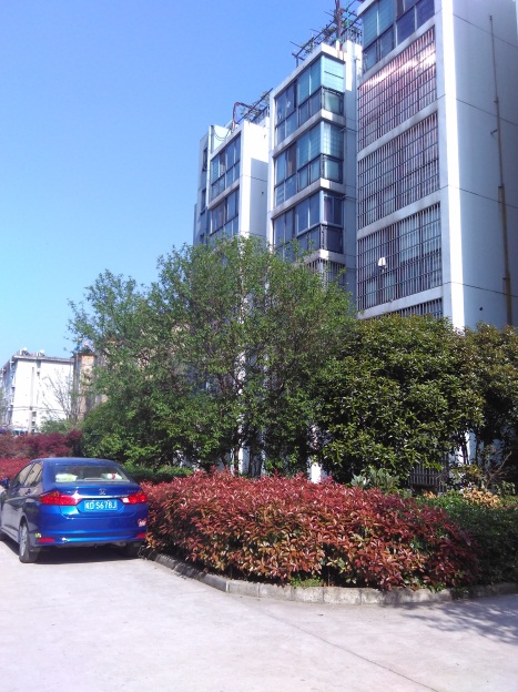 龙泉街道，信谊四季城 ，精装修，两房两厅，多层公摊小，二十六中小学。_7