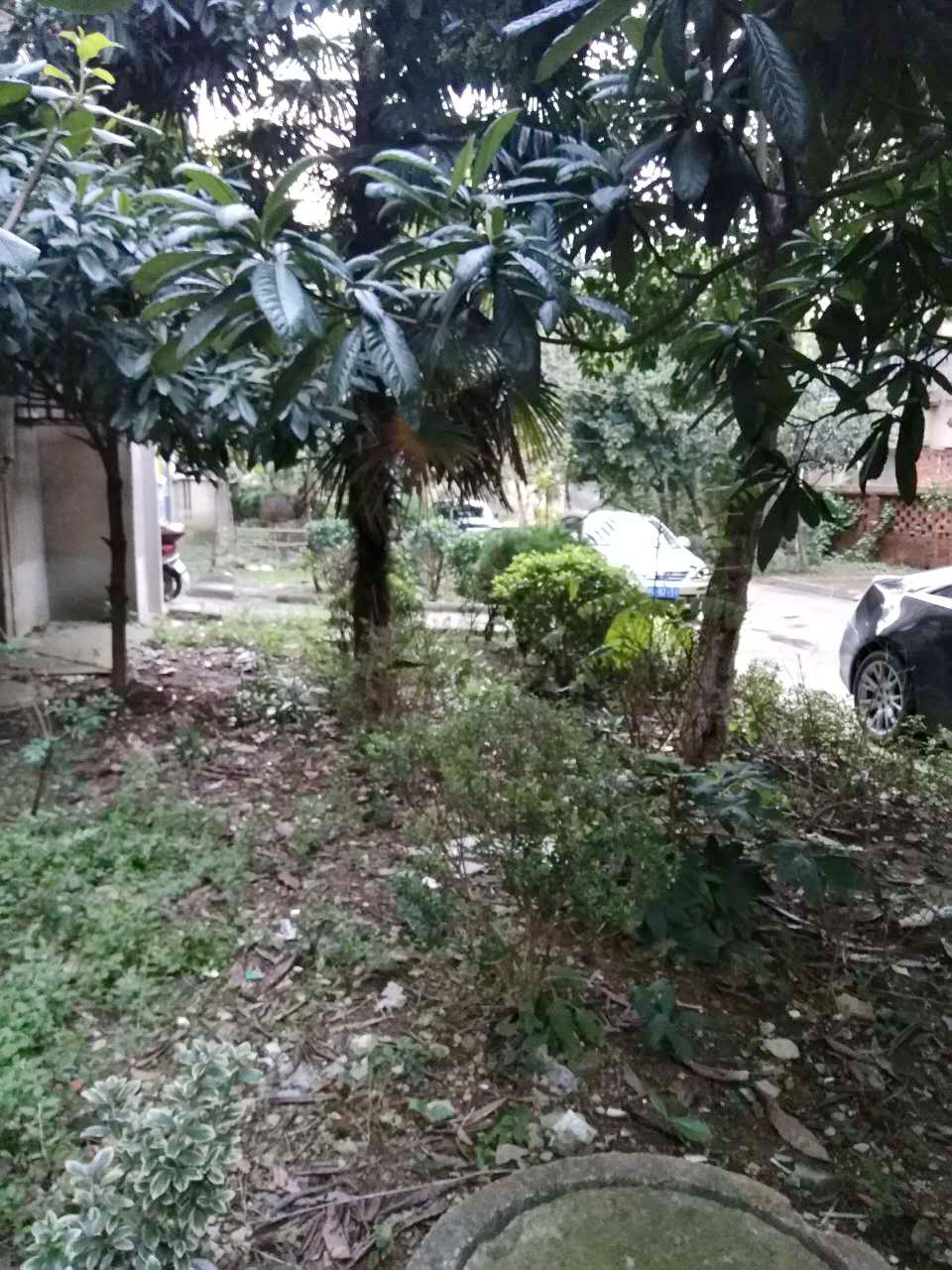 泉山东淮村 2室1厅 普装 出售_4