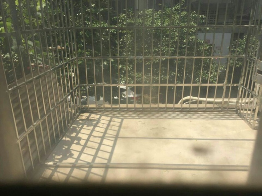 此房是2楼龙泉村南北通透急售_12