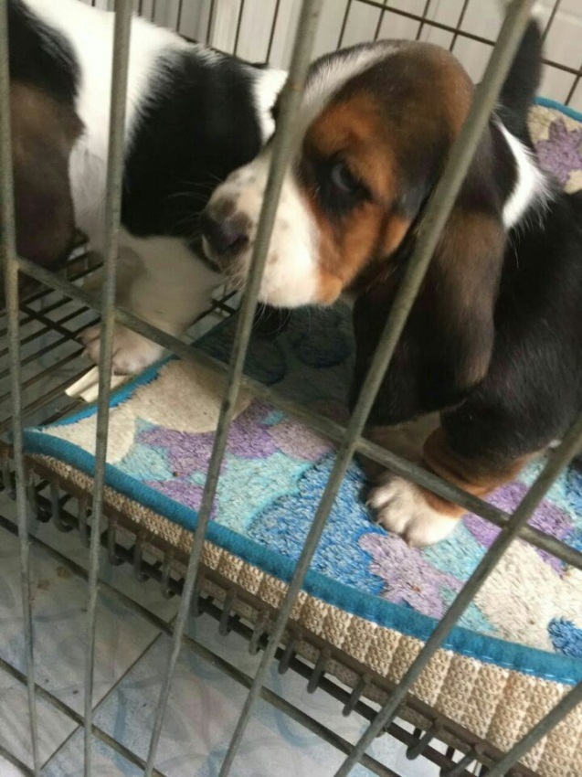 此房是2楼龙泉村南北通透急售_10