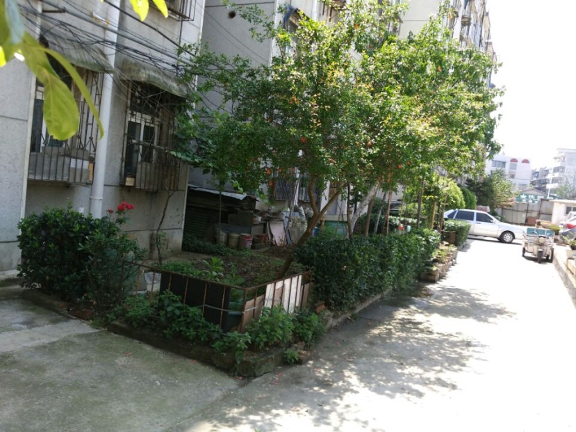 此房是2楼龙泉村南北通透急售_13