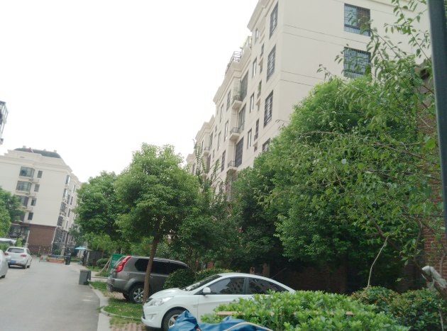 金地月伴湾多层3室2厅 毛坯急售_9