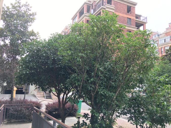 山南印象2室1厅毛坯 学区房_7
