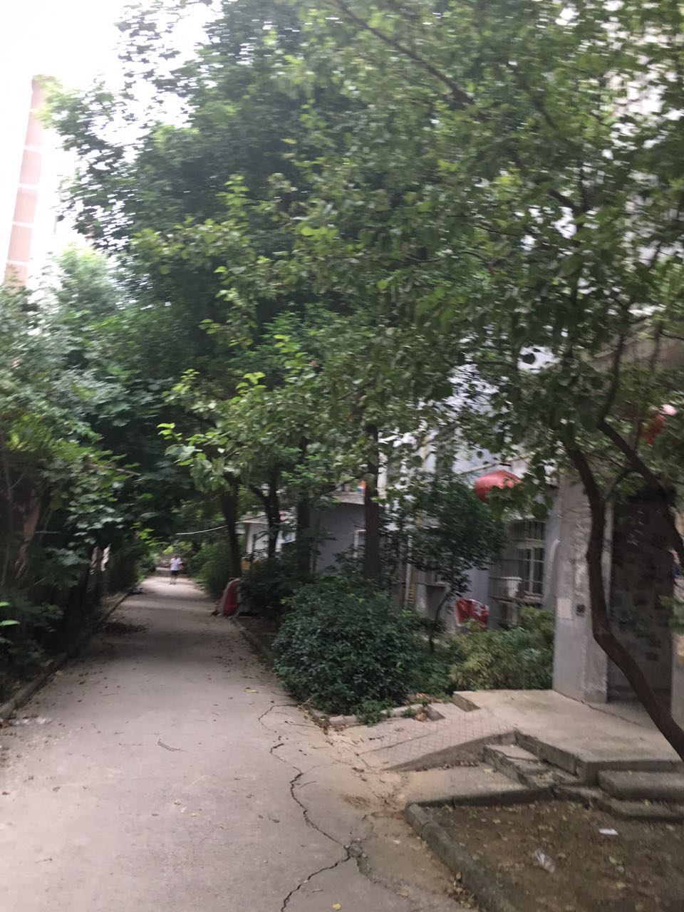 瑞福居63平米2室1厅简装急售_8