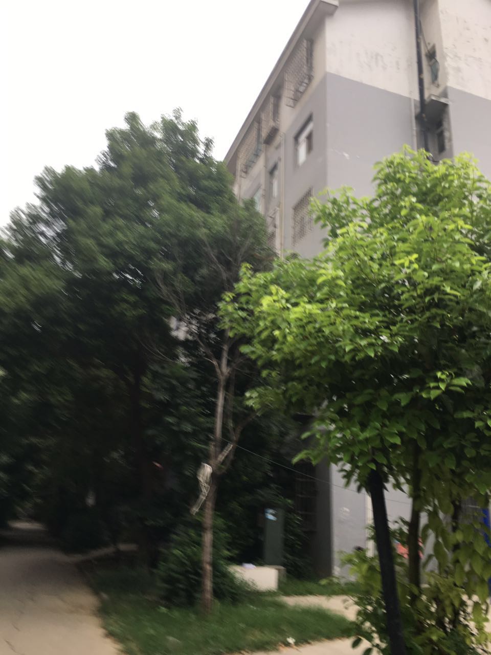 瑞福居63平米2室1厅简装急售_9